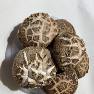 a-siitake
